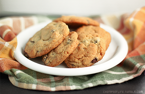 chocolatechipcookies_basic1